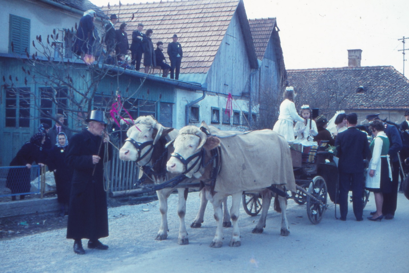 Uebersbacher_Blochziehen