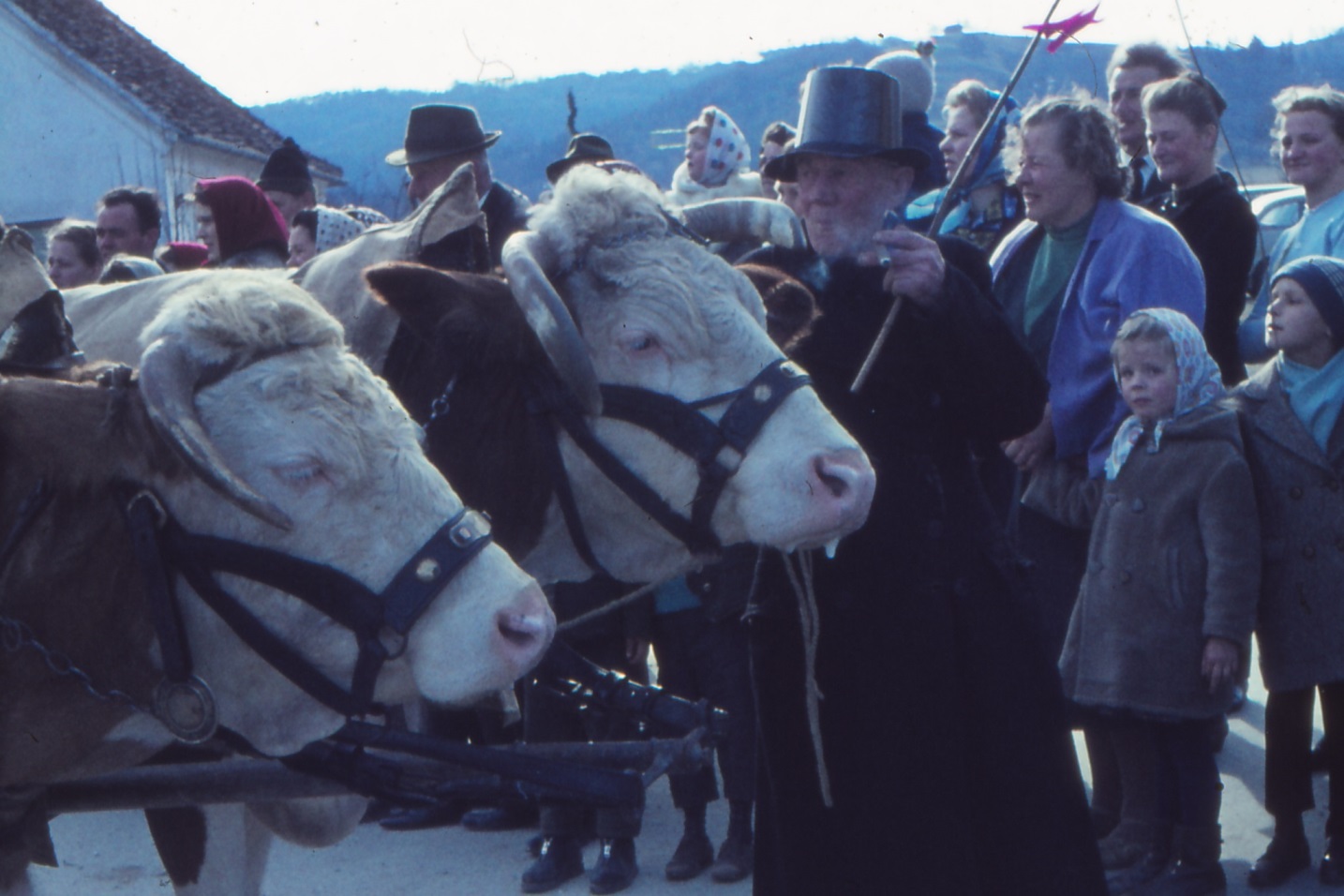 Uebersbacher_Blochziehen
