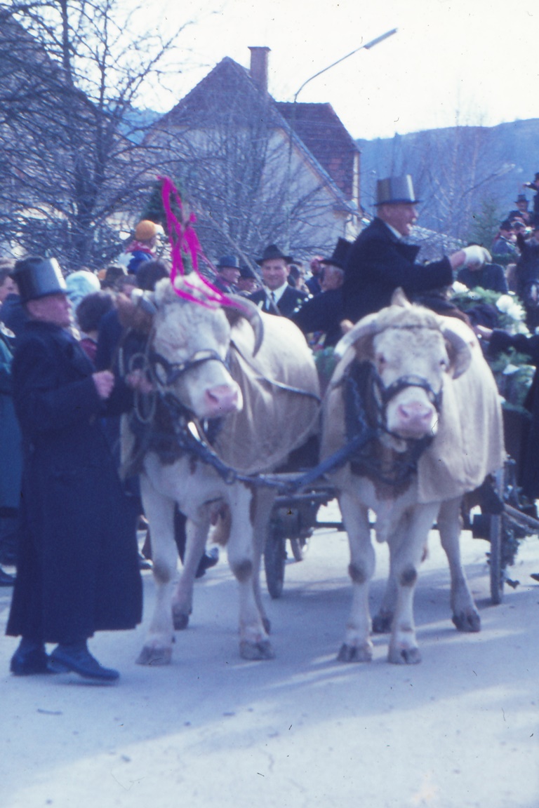 Uebersbacher_Blochziehen
